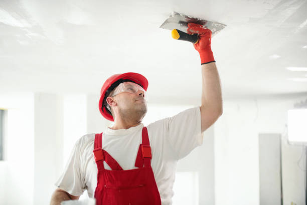 Best Real Estate Mold Inspection  in East Mckeesport, PA