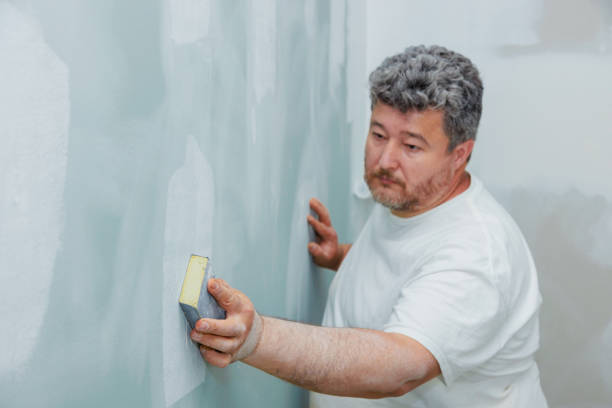 Trusted East Mckeesport, PA Mold Removal Experts